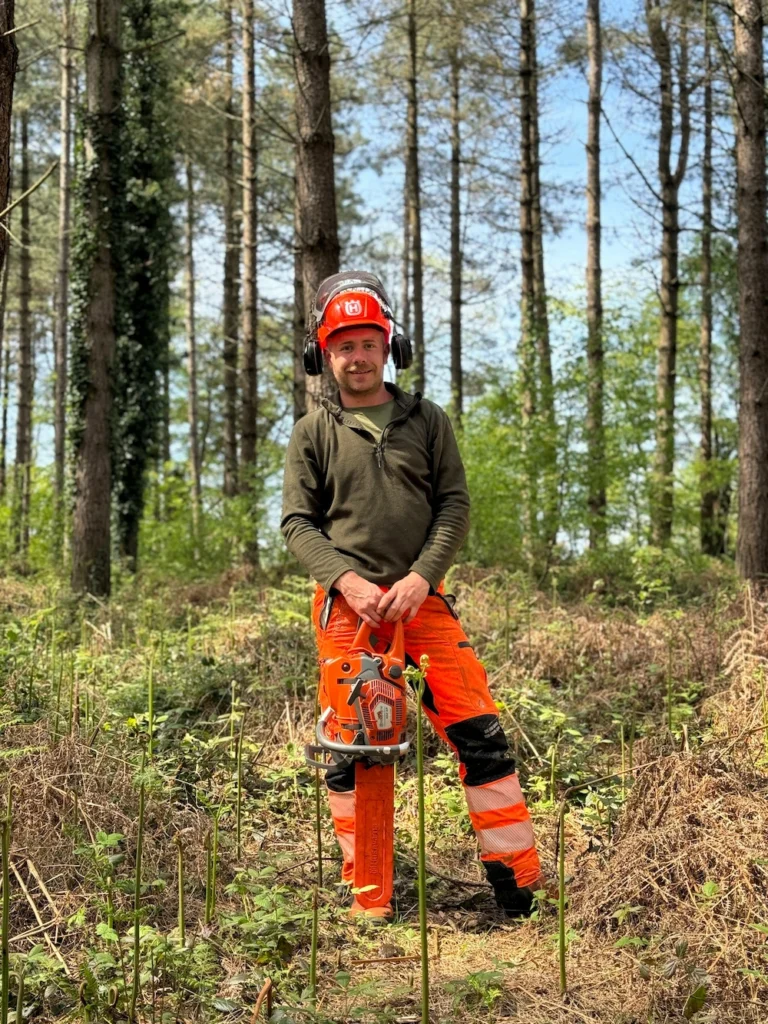 Supressão de vegetação